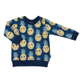 Kleine Baasjes Organic - Raglan Sweater Pineapple