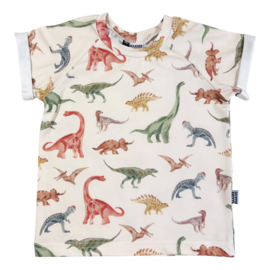 Kleine Baasjes Organic - Raglan Shirt Dinosaurus