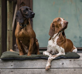 Deerhunter Germania Dog Blanket hondendeken