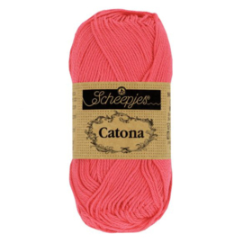 Catona 256 Cornelis rose