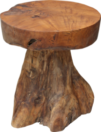 JAMUR | Teak Kruk | Erosie