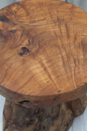 TEAK Kruk Erosie