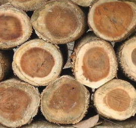 TINTO Wijnrek Suar hout | 10 Flessen | 80 cm Hoog | Staand Wijnmeubel