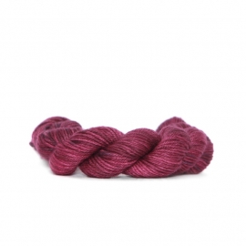 Nurturing Fibres  Supertwist DK Brambles 100g