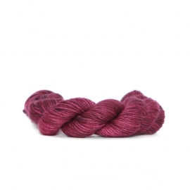 Nurturing Fibres  Supertwist DK Brambles 50g