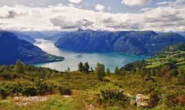 Vlieg-busreis 8 dagen Noorse fjorden (effeweg)