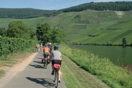 6-daagse fietsvakantie per bus Fietsen langs de Moezel en Rijn (de Jong intra)