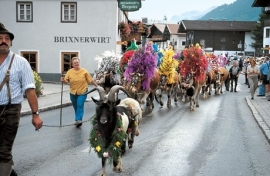 8 dagen Tirol - Brixen - Hotel Brixnerwirt  ( Peter Langhout )