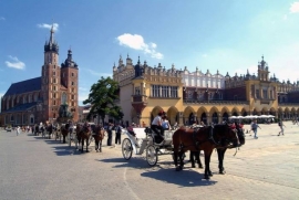 Excursiereis 10 dagen Veelzijdig Polen (effeweg)