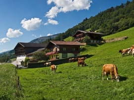 8 daagse Busreis Hartje Tirol  ( Kras )