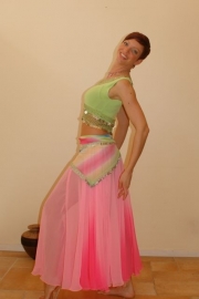 Stretchtop met zilverkleurige muntrijen - diverse kleuren