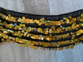 RR11M Rijen afwisselend grote en kleine hologram pailletten