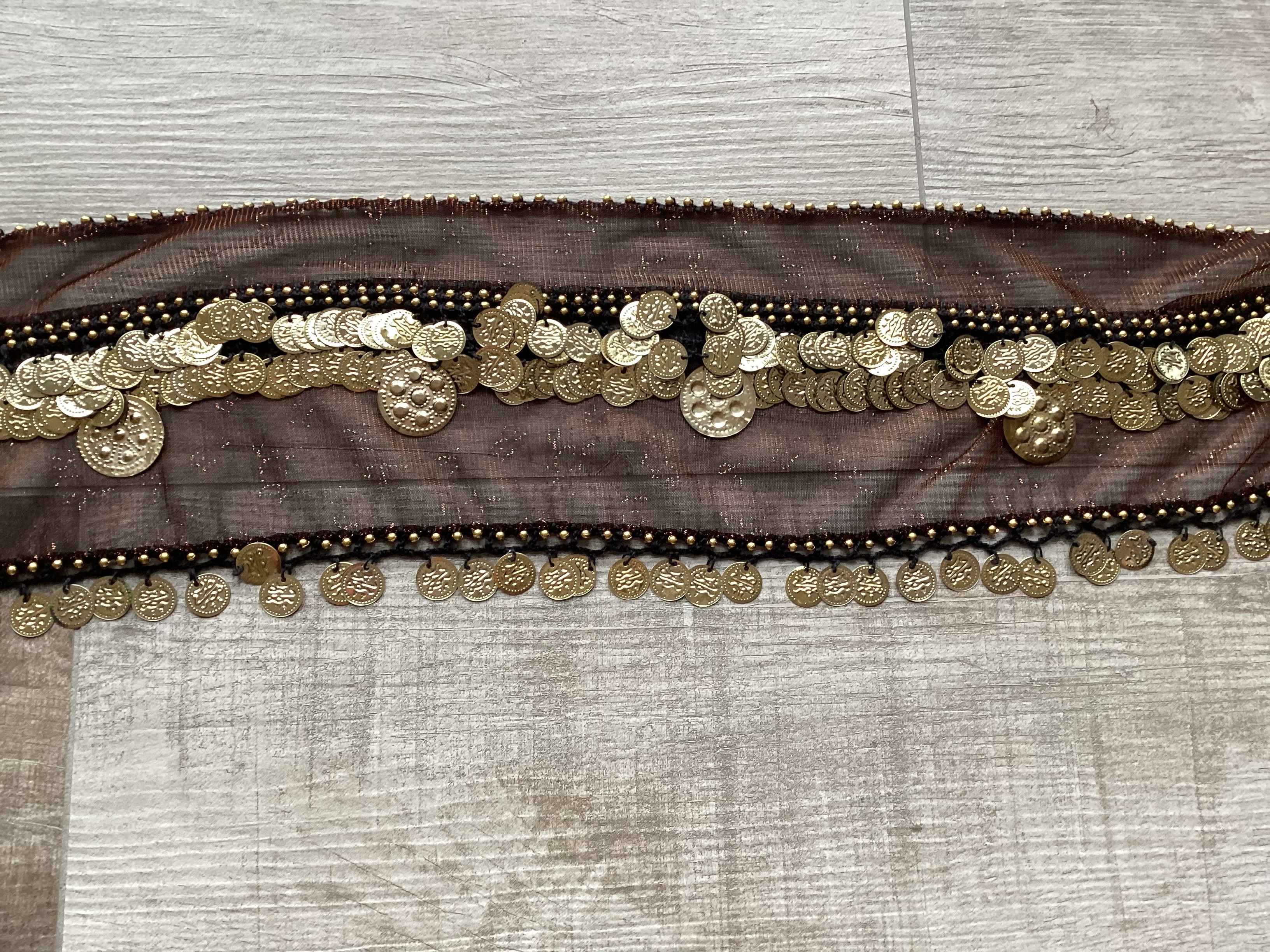 RR24A Paars metallic sjaal met rij munten, accent grote munt XL