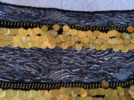 RR21K Kanten rechthoeksjaal met 2 rijen munten en pailletten