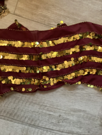 RR11 Rijen pailletten - diverse kleuren