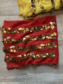 RR11 Rijen pailletten - diverse kleuren