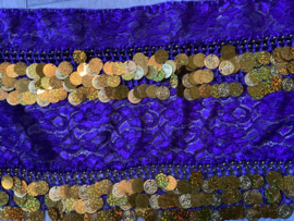 RR21K Kanten rechthoeksjaal met 2 rijen munten en pailletten