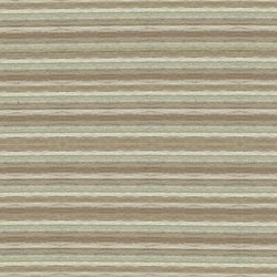 DMC Color Variations 4145 - Sand Dune