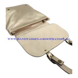 N81 Handtas Mandoline 26024 gold (goud)