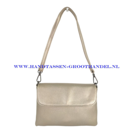 N20 Handtas Flora & Co h9158 taupe metal (goud)