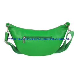 N34 Crossbody - Heuptas - Bumbag Flora & Co 3644 groen