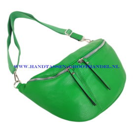 N34 Crossbody - Heuptas - Bumbag Flora & Co 3644 groen