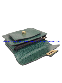 N40 Handtas Flora & Co X2593 vert (groen)