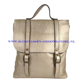 N81 Handtas Mandoline 26024 gold (goud)