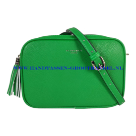 N35 Handtas Flora & Co 8035 vert pomme (groen)