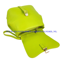 N69 Handtas Mandoline 32860 anis (groen)