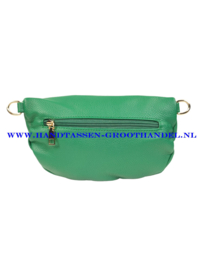 N25 Crossbody - Heuptas - Bumbag Flora & Co FS1045-3668 gras groen