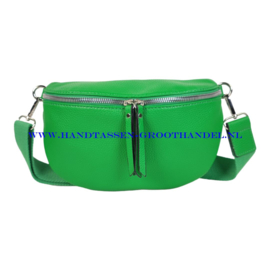 N27 Crossbody - Heuptas - Bumbag Flora & Co 3645 groen