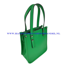 N38 Handtas Flora & Co 3658 vert (groen)