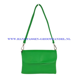 N20 Handtas Flora & Co h9158 vert pomme (groen)