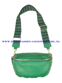 N25 Crossbody - Heuptas - Bumbag Flora & Co FS1045-3668 gras groen