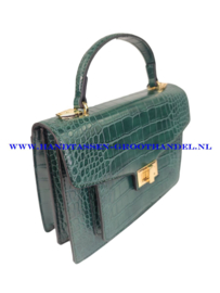 N40 Handtas Flora & Co X2593 vert (groen)