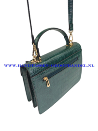 N40 Handtas Flora & Co X2593 vert (groen)