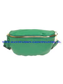 N25 Crossbody - Heuptas - Bumbag Flora & Co FS1045-3668 gras groen