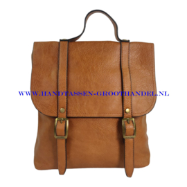 N81 Handtas Mandoline 26024 camel