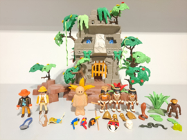 Jungle ruïne (15504)