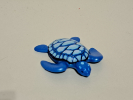 Schildpad blauw