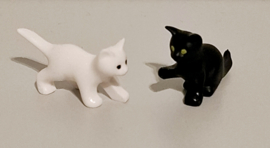 Poes 7 kittens