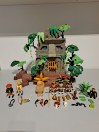 Jungle ruïne (15504)