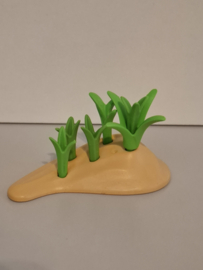 Plant 1