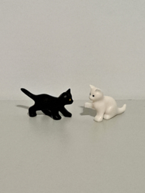 Poes 5 kittens