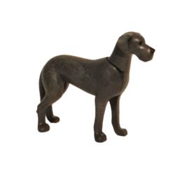 Deense Dog (Hond 6)