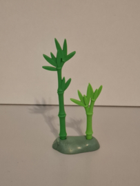 Bamboe klein