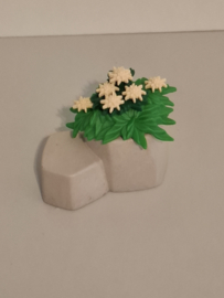 Rots met bloemen (rots1)