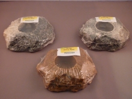 Jellyfoodbak Granite Rock