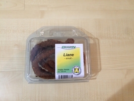 Liaan